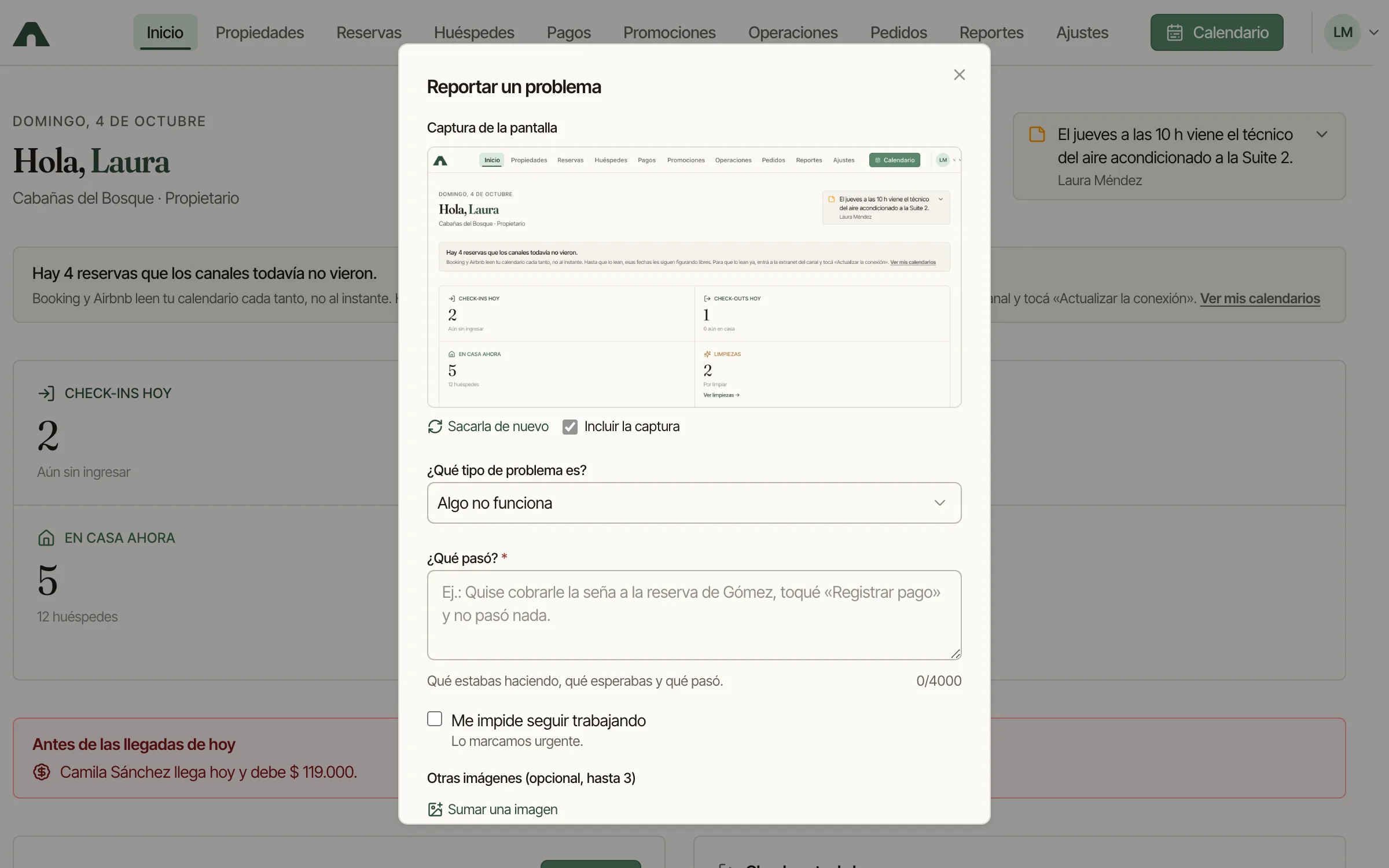 Ventana para reportar un problema con captura